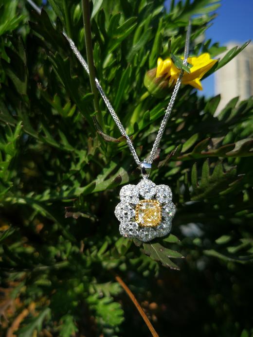 1.00克拉黄钻 18k金豪镶戒指吊坠两用款 商品图1