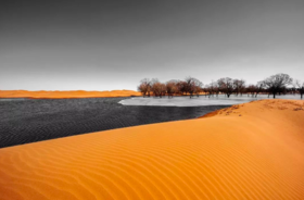 0626-0629 | Lavenda &Sandy宁夏4天3晚私定纯玩方案