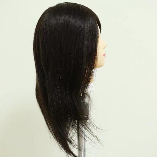 柏力头模黑发18CM 商品图1