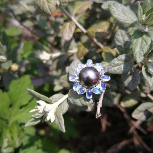 10-11mm南洋黑珍珠配镶月光石戒指和吊坠套装 商品图12