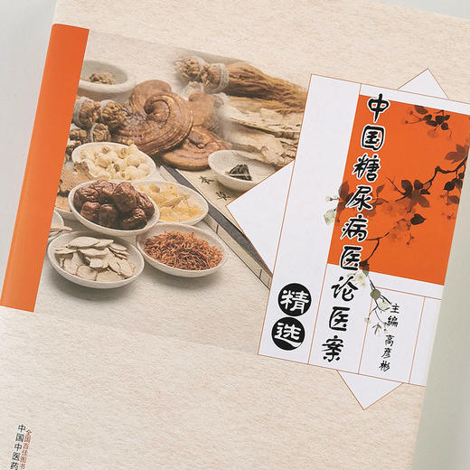 中国糖尿病医论医案精选【高彦彬】 商品图1