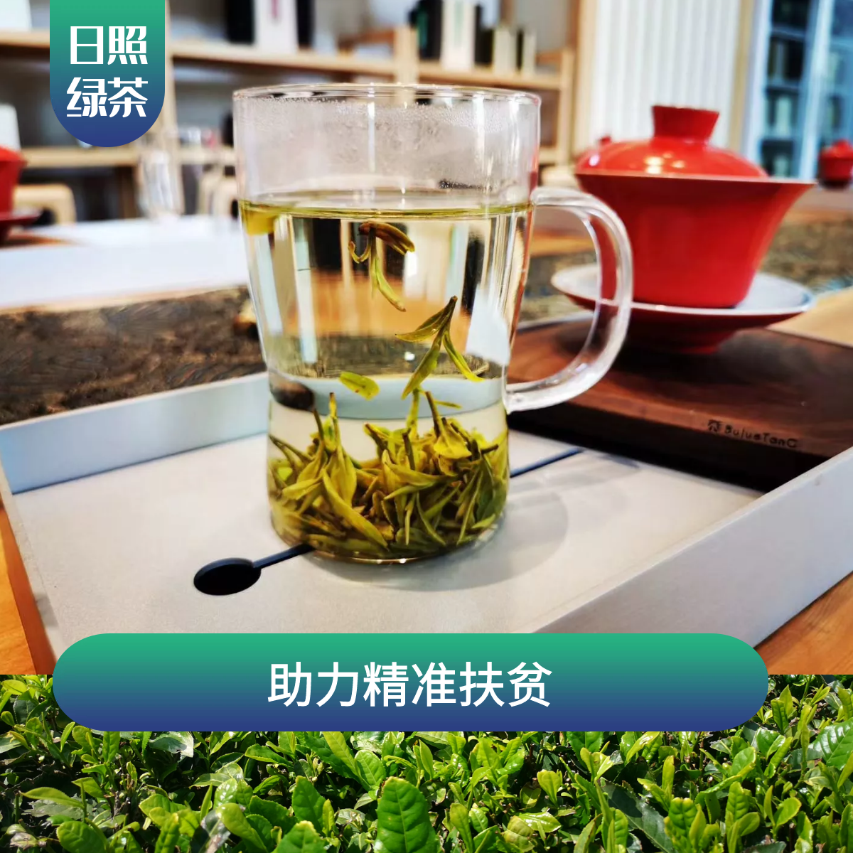 日照市潮河镇青松岭村绿茶红茶