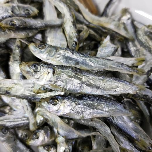 【野生青兰鱼干】买一送一 野生青兰鱼干 纯淡干 味美营养丰富 即食凉拌炒菜，一罐100克 商品图1