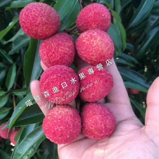 【并蒂无核荔枝】超甜无核不上火,高端稀有(4.5装一箱)