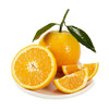 伦晚橙（1.5kg） 商品缩略图0