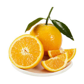 伦晚橙（1.5kg）