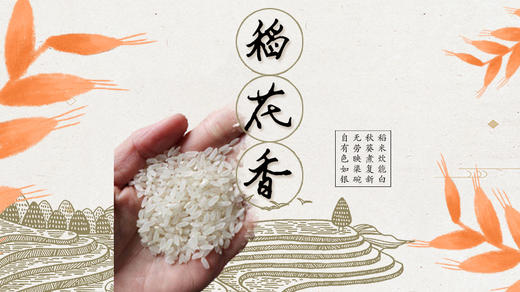 永康鼎盛稻花香米10kg 商品图0