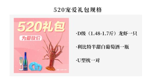 福州分店-【520宠爱礼包】（次日发货）D级龙虾一只+白葡萄酒1瓶+U型枕一对 商品图1