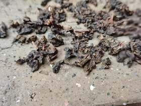 2019秋●王料·传统老工艺铁观音