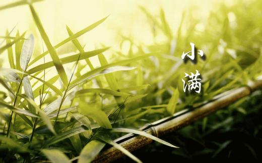 小满 | 一年之中体内阳气最充沛的时候，宜健脾养胃，去“火毒” 商品图0