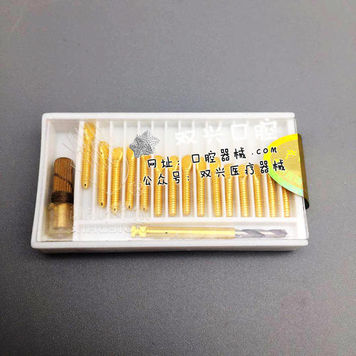 西湖巴尔 根管桩 扁头型（前牙）根管钉 商品图2