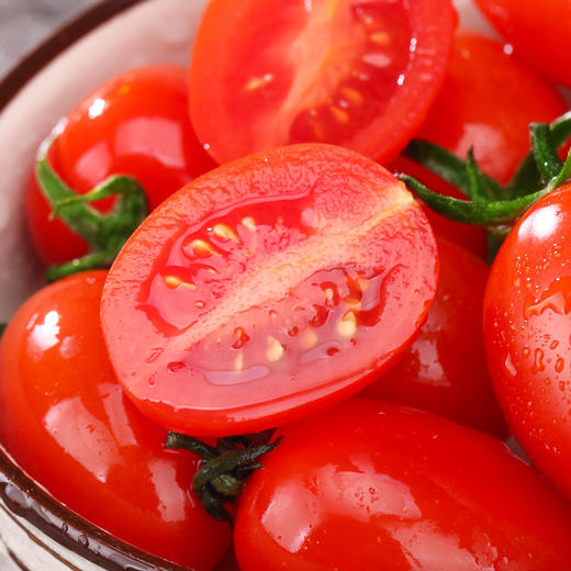 山东圣女果小西红柿5斤|酸甜可口 鲜美多汁 营养丰富【应季蔬果】