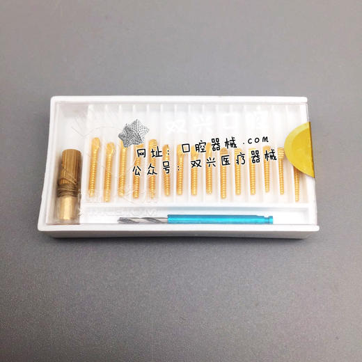 西湖巴尔 根管桩 扁头型（前牙）根管钉 商品图0