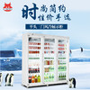 LD-PT 分体外置平头双门豪华冷藏饮品柜 便利店设备 送5米接机铜管 包安装另加总价10% Bottle cooler convenience store equipment 商品缩略图0