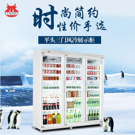 LD-PT 分体外置平头双门豪华冷藏饮品柜 便利店设备 送5米接机铜管 包安装另加总价10% Bottle cooler convenience store equipment