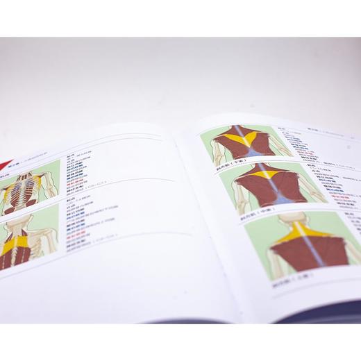 NASM-PES美国国家运动医学学会运动表现训练指南 第2版 商品图2