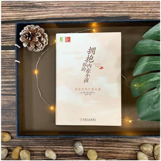 拥抱你的内在小孩  机械工业出版社 正版书籍 商品图2
