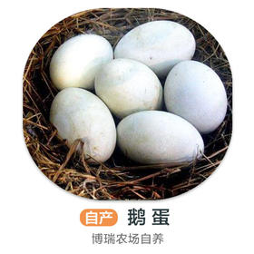 笨鹅蛋