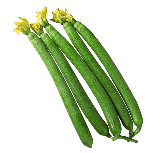 山东新鲜丝瓜5斤色泽鲜亮熟果饱满营养丰富应季蔬果