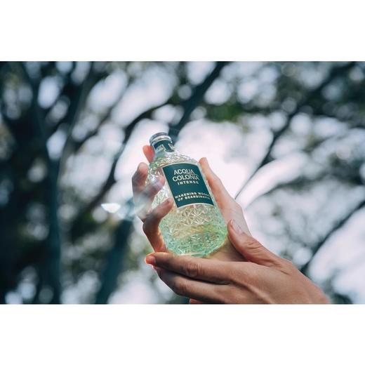 4711 斯堪的纳维亚的原始森林 4711 Wakening Woods Of Scandinavia 分装 商品图4