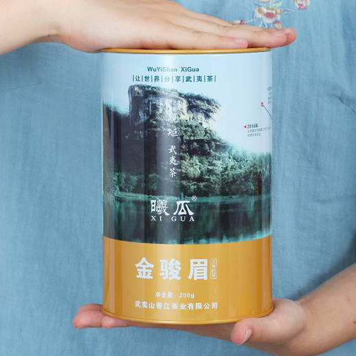 曦瓜 源味 金骏眉 武夷红茶 罐装 散装 500g 商品图4
