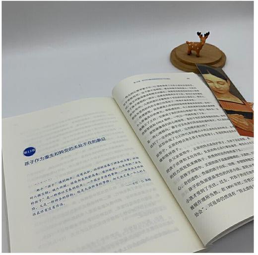 回家吧，受伤的内在小孩 商品图4