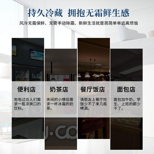 LD-PT 分体外置平头双门豪华冷藏饮品柜 便利店设备 送5米接机铜管 包安装另加总价10% Bottle cooler convenience store equipment 商品图1