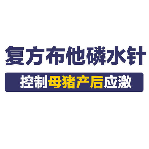 10%科特壮复方布他磷注射液抗应激补充体力母猪产后保健仔猪保健 商品图4