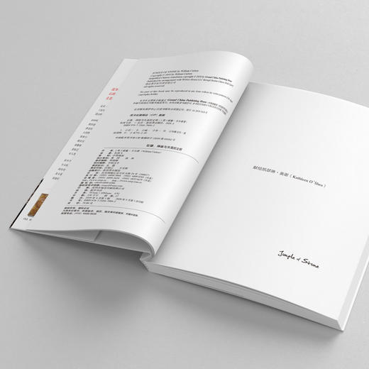 石像神庙与失落的文明：改写世界文明史的玛雅发现之旅 美洲史失落文明玛雅文明探险旅行 商品图2