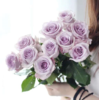 国产玫瑰-海洋之歌-20枝/扎 商品缩略图1