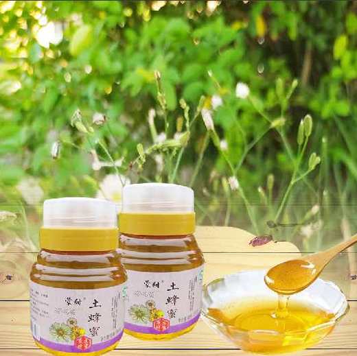 沂蒙山蒙甜天然土蜂蜜500g/瓶 商品图1