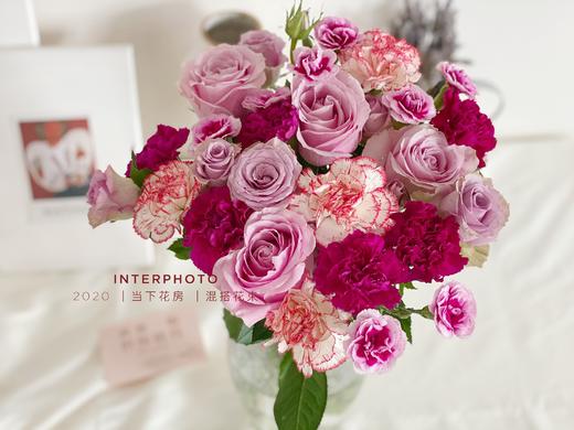 紫霞仙子粉红芭蕾9紫色康乃馨5俏新娘单头康4时尚太子多头康2