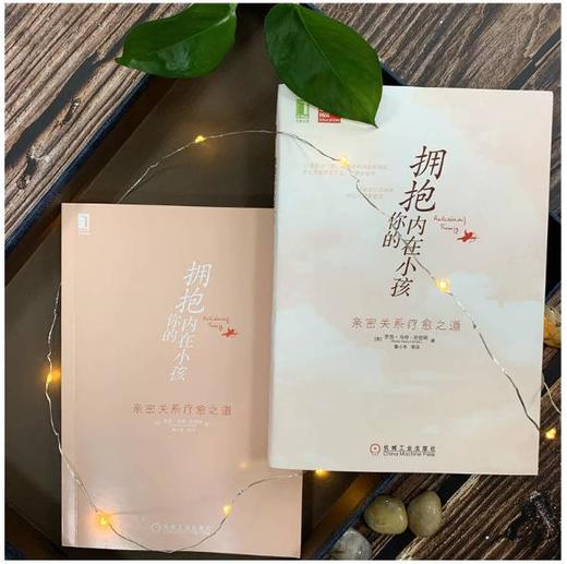 拥抱你的内在小孩  机械工业出版社 正版书籍 商品图1