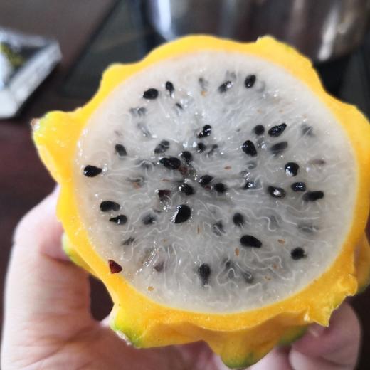 果中贵族海南燕窝果