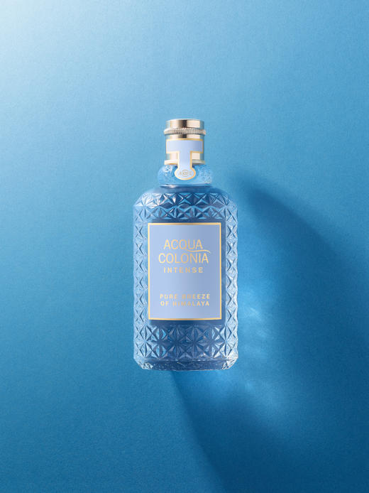 acqua colonia intense pure breeze of himalaya 分装 关凡琦香水