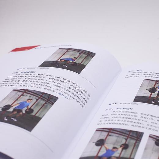 NASM-PES美国国家运动医学学会运动表现训练指南 第2版 商品图3