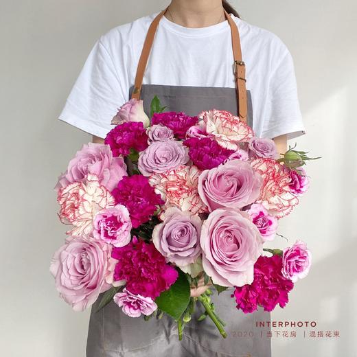 紫霞仙子粉红芭蕾9紫色康乃馨5俏新娘单头康4时尚太子多头康2