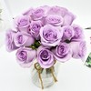国产玫瑰-海洋之歌-20枝/扎 商品缩略图0