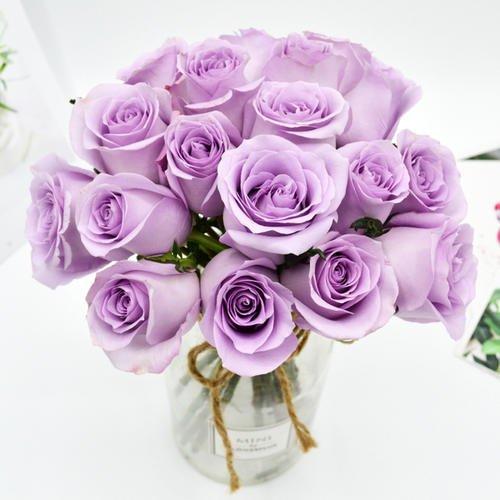 国产玫瑰-海洋之歌-20枝/扎 商品图0