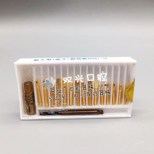 西湖巴尔 根管桩 扁头型（前牙）根管钉 商品图1