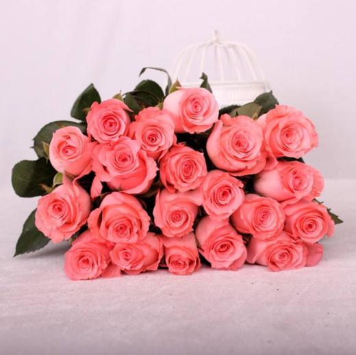 国产玫瑰ZS-戴安娜-B级-20枝/扎 商品图0