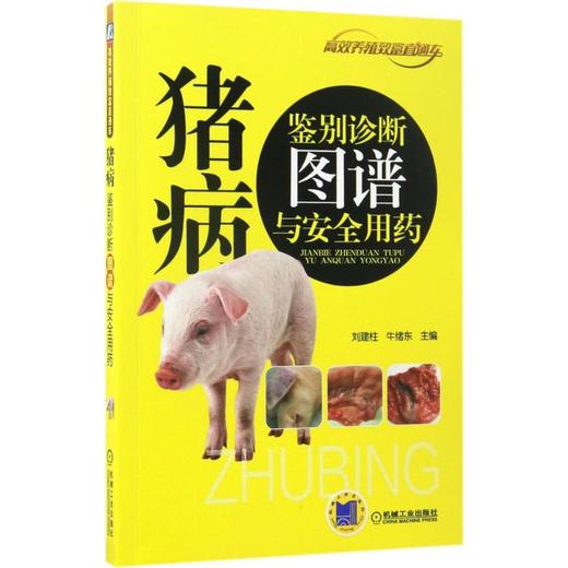 猪病鉴别诊断图谱与安全用药 商品图0