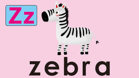 zebra