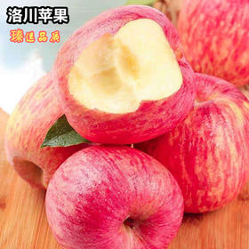 【陕西洛川苹果】 新鲜孕妇水果条红脆甜精选红富士苹果产地直供 健康滋补生鲜水果系列