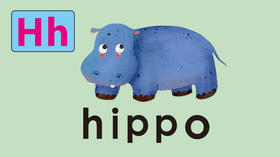 hippo