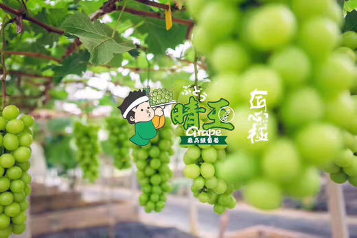 匠心极·晴王葡萄 自带浓郁香气的晴王葡萄🍇 口感香甜，果冻般口感  皮薄而无涩，迷之花香 让人惊艳无比，入口化成一汪蜜。满嘴香甜，瞬间征服你的味蕾！ 商品图1