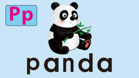 panda