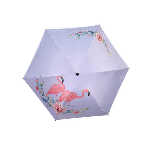【加固加厚 小巧方便】超轻两火烈鸟折叠遮阳伞晴雨两用防晒防紫外线铅笔伞FZ20201 商品图6