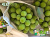 匠心极·晴王葡萄 自带浓郁香气的晴王葡萄🍇 口感香甜，果冻般口感  皮薄而无涩，迷之花香 让人惊艳无比，入口化成一汪蜜。满嘴香甜，瞬间征服你的味蕾！ 商品缩略图4