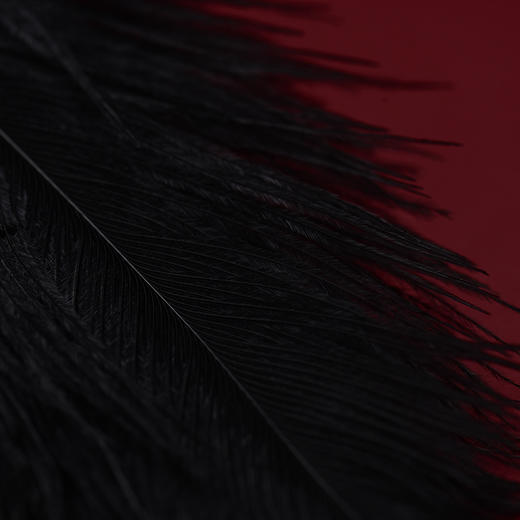 【UPKO】及时享乐轻调教礼盒高端羽毛棒SM捆绑真丝眼罩成人情趣用 商品图5